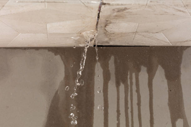 Professional Water Damage Inspection technician working in Liberty, MO